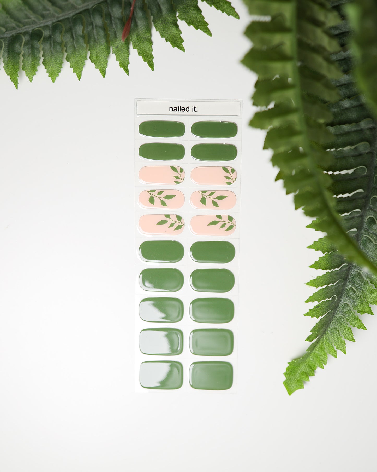 Bande de gel - Nature